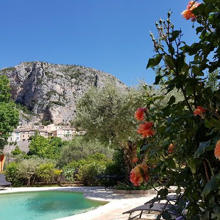Bastide Des Oliviers Bed and Breakfast Moustiers-Sainte-Marie Exteriör bild