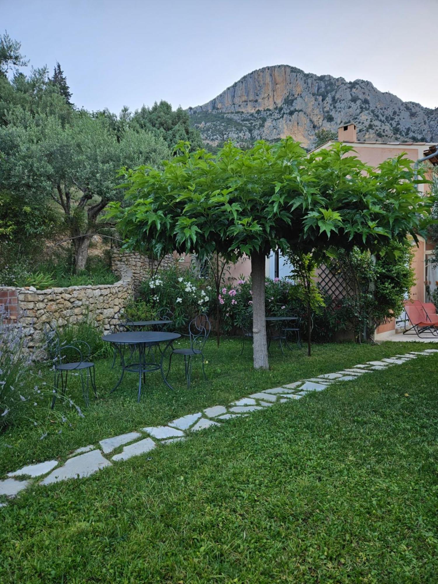 Bastide Des Oliviers Bed and Breakfast Moustiers-Sainte-Marie Exteriör bild